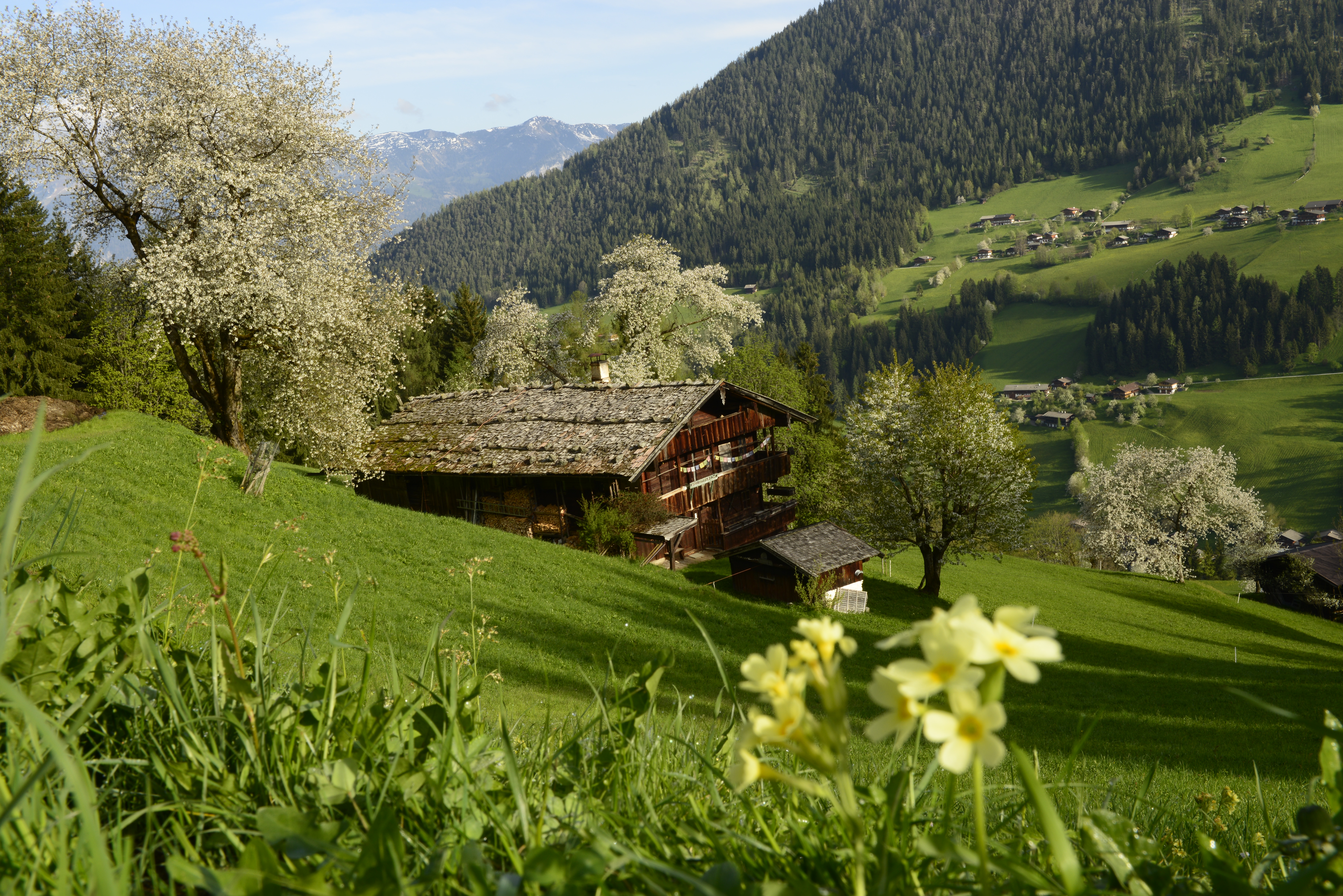 Tirol Touristica